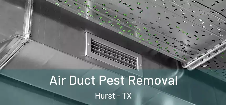  Air Duct Pest Removal Hurst - TX