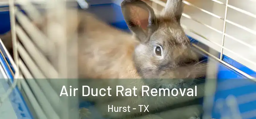  Air Duct Rat Removal Hurst - TX