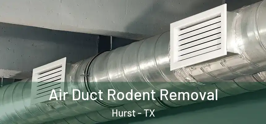 Air Duct Rodent Removal Hurst - TX