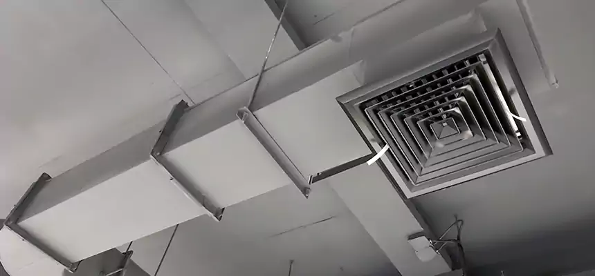 Our Pest Removal From Ducts Services in Hurst, TX