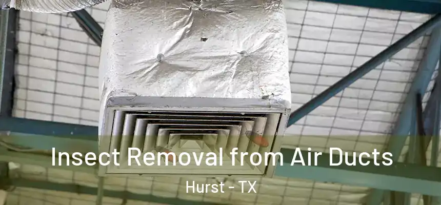Insect Removal from Air Ducts Hurst - TX