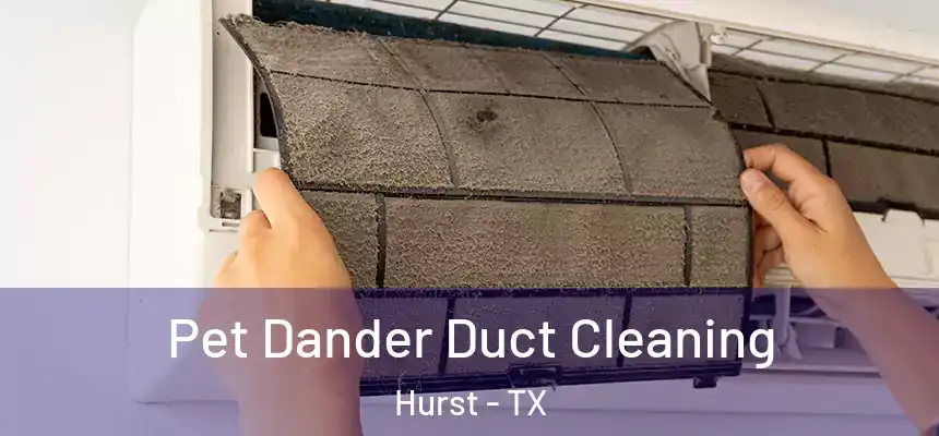 Pet Dander Duct Cleaning Hurst - TX