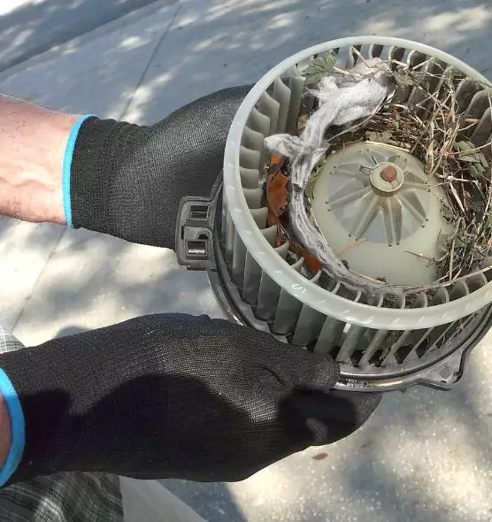 About Air Duct Mice Removal in Hurst, TX