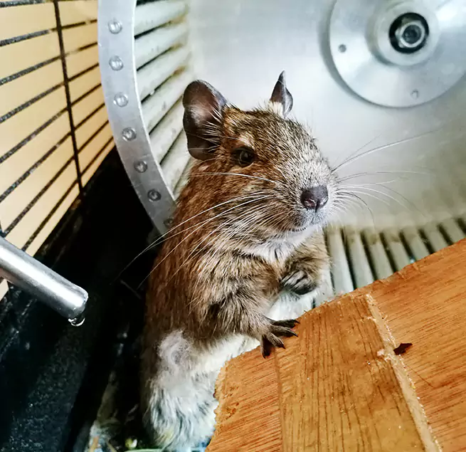 Why Homeowners & Businesses Trust Us Hurst, TX