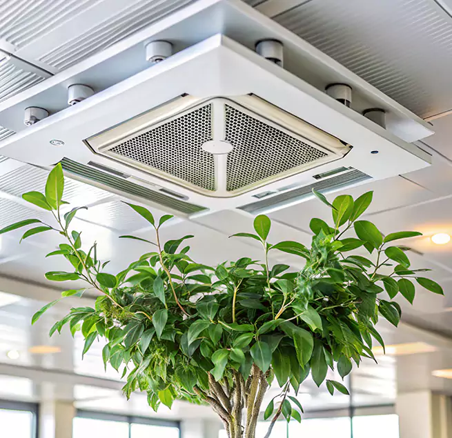 Why Homeowners & Businesses Trust Us in Hurst, TX?